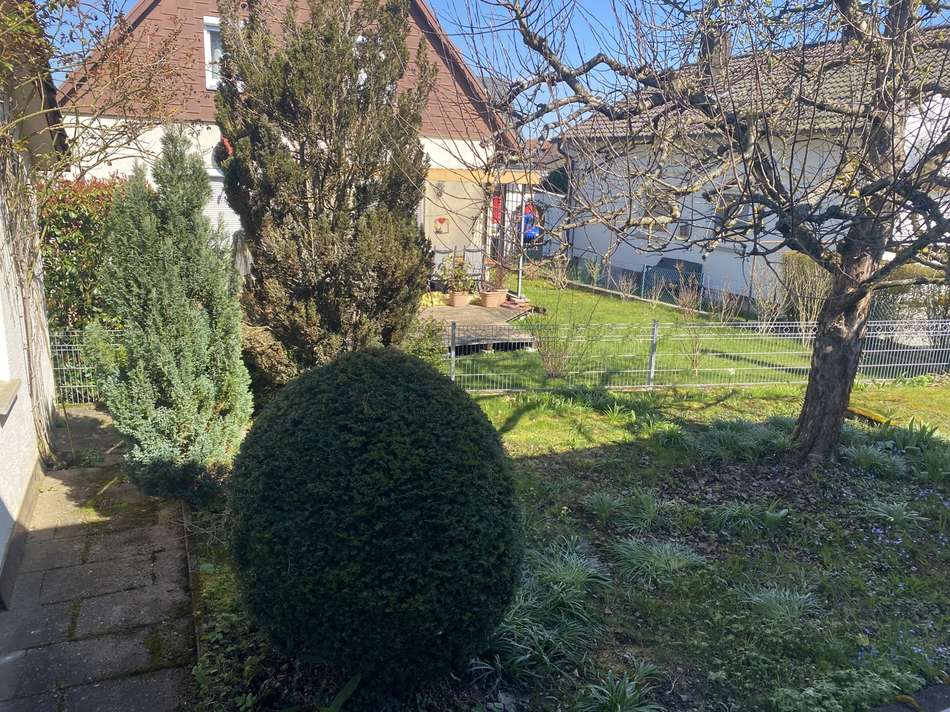 Ausblick von der Küche in den 