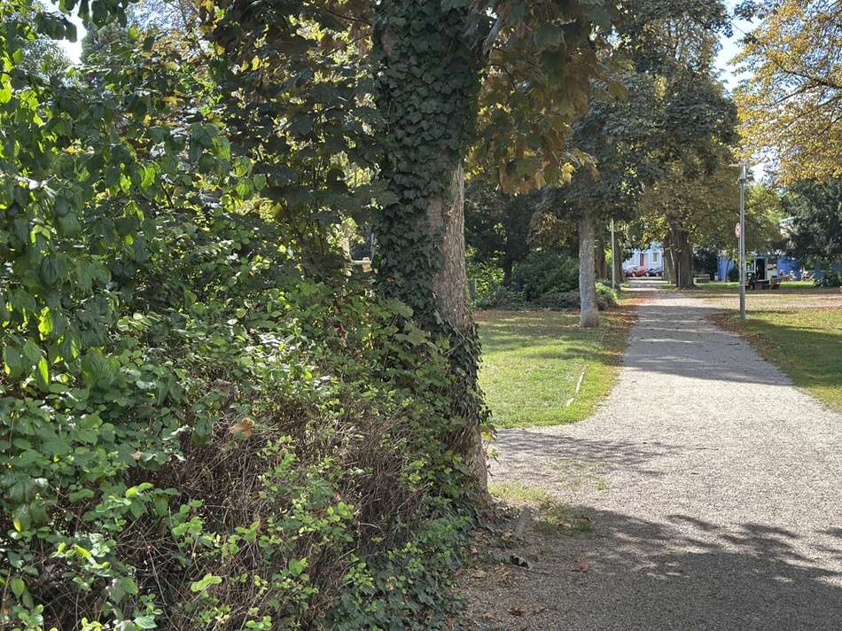 Lage am Park