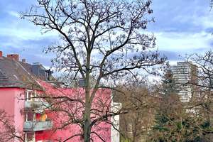 Direkt am Park! Ruhig und dennoch zentral! 2-Zimmerwohnung mit Loggia! – Die vollständige Adresse der Immobilie erhältst du vom Anbieter., 50969 Zollstock, Köln – Vorschaubild 11