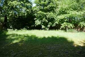 Natur Pur: Einfamilienhaus mitten im Grünen in direkter Nähe zum NOK in Schafstedt – Dithmarschen (Kreis) – Vorschaubild 20