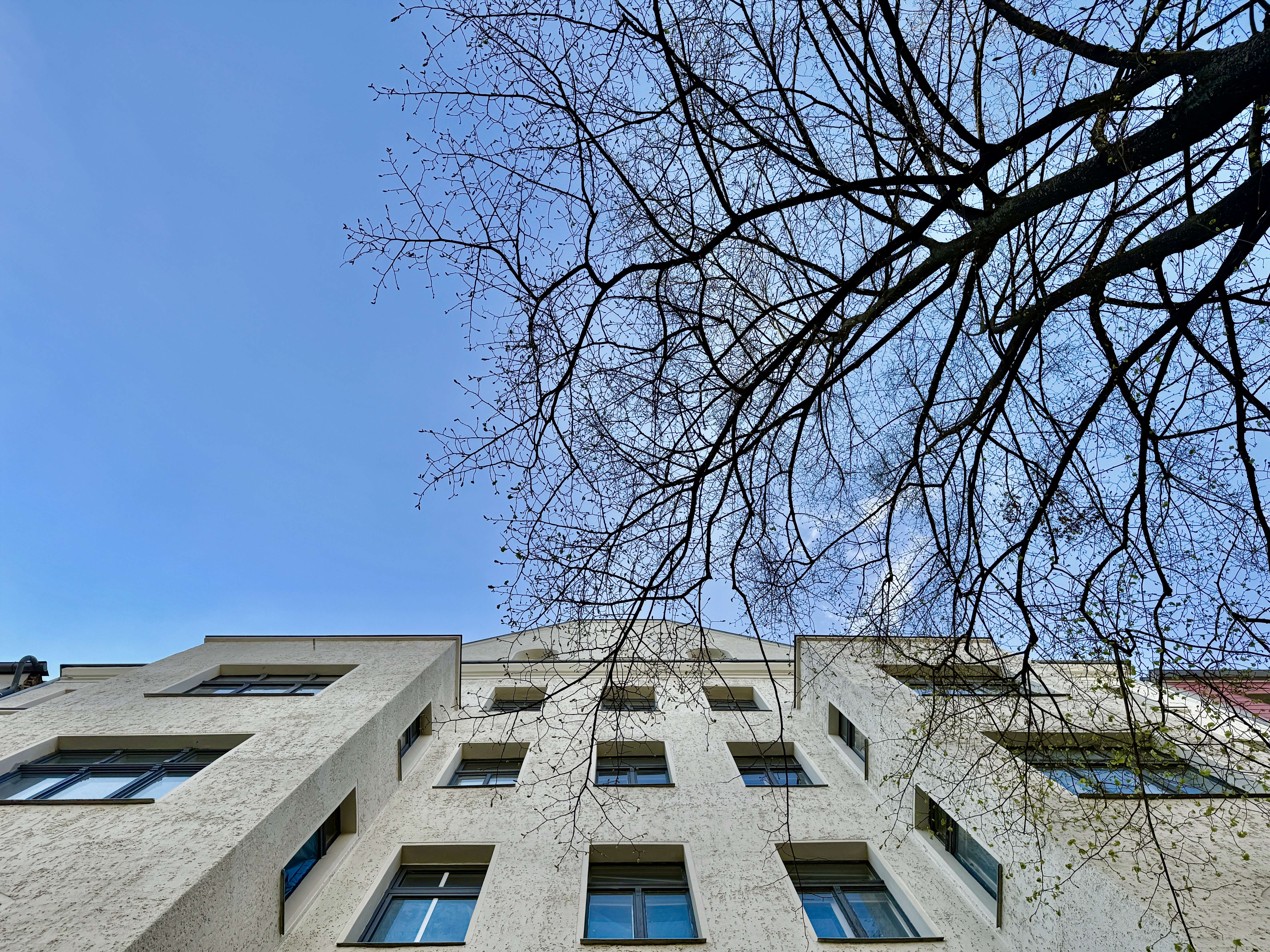 Einzigartiges Investment mit viel Potenzial in aufstrebender Lage, Berlin – Bild 2