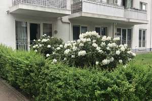 Bezugsfrei! Exklusive Wohnung mit gehobener Innenausstattung in Hamburg Bahrenfeld