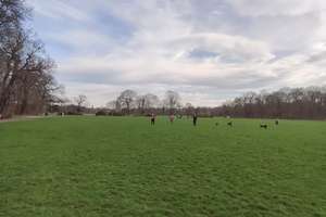 Property thumbnail 10