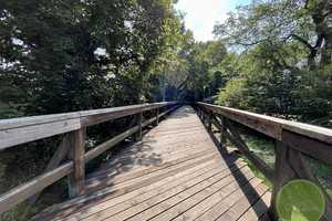 Property thumbnail 21