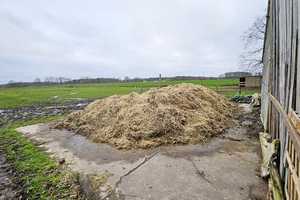 immo-schramm.de: Resthof mit Stall und Weideland, Einzellage – Osterholz (Kreis) – Vorschaubild 9