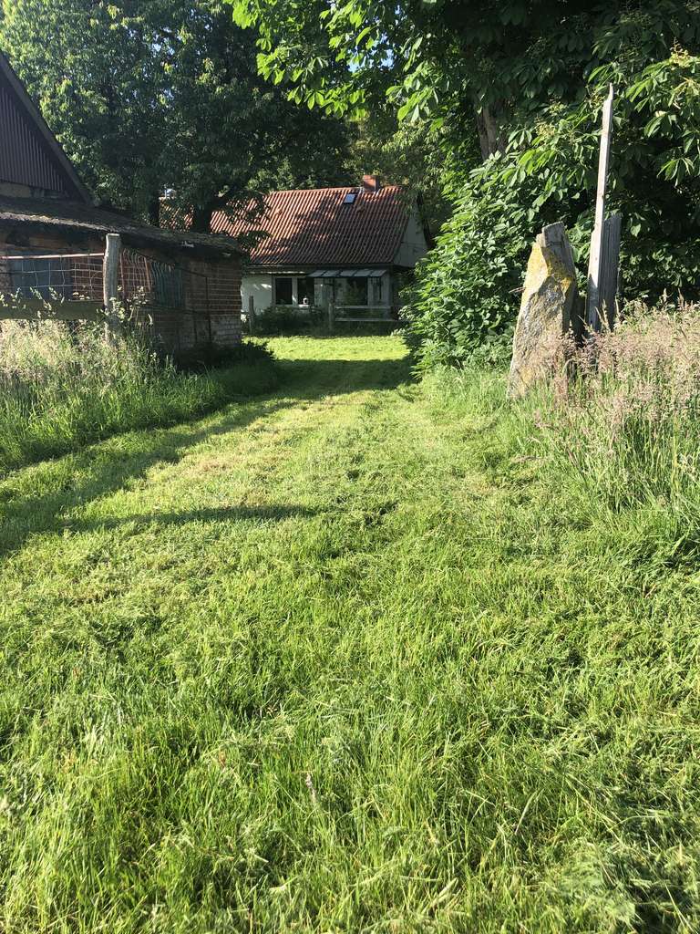 Immobilie in Putlitz - Anwesen in Alleinlage, 18,6 ha arrondiert - Bild 4