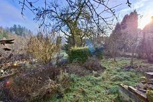 In schöner Ortsrand-/ Aussichtslage: Gepfl. EFH, u. a. mit Wintergarten, Kaminofen, Fußbodenheizung – Alte Weinstraße 33, 98554 Benshausen – Vorschaubild 106