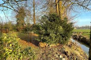 Freistehendes EFH mit großem Garten und Weitblick in Hafennähe – Die vollständige Adresse der Immobilie erhältst du vom Anbieter., 26826 Weener – Vorschaubild 15