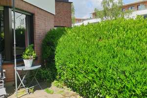 Alltagstaugliche 2-Zimmer-Wohnung mit Terrasse in Bonn-Duisdorf – Schmittgasser Kirchweg 1, 53123 Duisdorf, Bonn – Vorschaubild 17