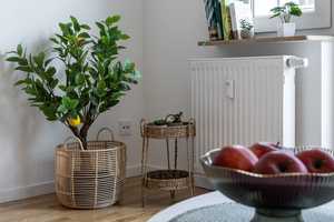 Property thumbnail 22