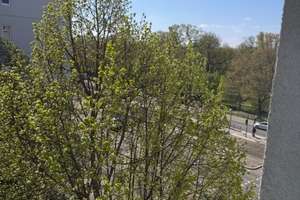 Schönes helles 1 Zimmerapartment mit Balkon und Blick zum Park im Prenzlauer Berg – Die vollständige Adresse der Immobilie erhältst du vom Anbieter., 10407 Prenzlauer Berg, Berlin – Vorschaubild 6