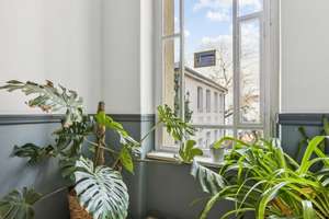 Property thumbnail 13