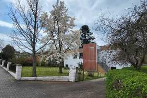 Einfamilienhaus mit gr. Garten in Wellerswalde, drei Garagen – Nordsachsen (Kreis) – Vorschaubild 1