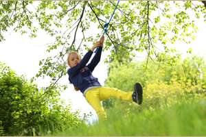 Property thumbnail 11