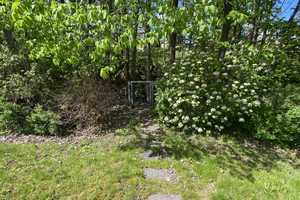 Ein bezauberndes Zuhause – Erzgebirgskreis – Vorschaubild 9