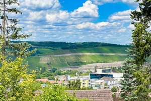 Klassische Unternehmervilla – Die vollständige Adresse der Immobilie erhältst du vom Anbieter., 97082 Zellerau, Würzburg – Vorschaubild 11