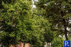 HOMESK - Exklusive 4-Zimmer-Dachgeschosswohnung mit Dachterrasse und Weitblick – Braunschweiger Straße 62, 12055 Neukölln (Ortsteil), Berlin – Vorschaubild 39