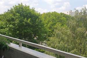 Property thumbnail 42