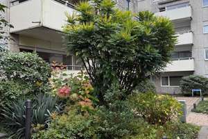 Erstbezug nach Sanierung: 2 Zi. EG-Wohnung mit Balkon in Bergisch Gladbach