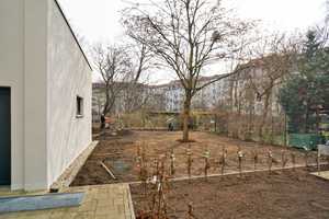 Ruhepunkt in Striesen – Krenkelstraße 8, 1309 Dresden – Vorschaubild 3