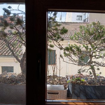 San Lorenzo de El EscorialWohnung