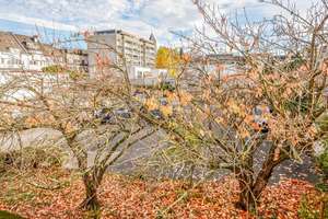 Property thumbnail 11