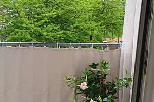 Nachmieter gesucht  für wunderschöne, geräumige Einraumwohnung mit sonnigem  Balkon  – Tannenstr. 15, 9113 Schloßchemnitz, Chemnitz – Vorschaubild 12
