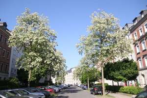 +++ Tolle 2 Raumwohnung mit Loggia  und TG-SP +++ – Altendorfer Str. 26a, 9113 Schloßchemnitz, Chemnitz – Vorschaubild 8