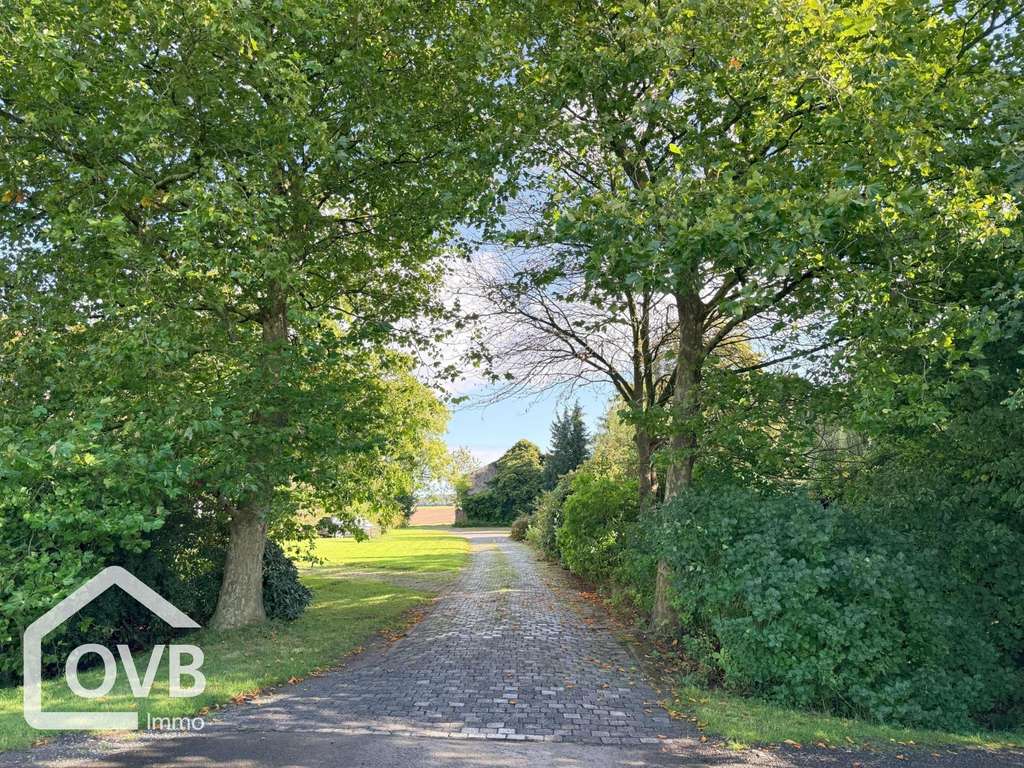 Immobilie in Osten - Landhaus mit Weitblick für Familien- und Pferdefreunde
 - Bild 2