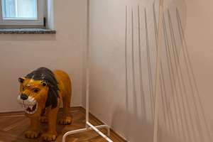 Property thumbnail 9