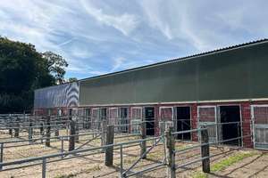 Reitanlage mit Halle und zwei Reitplätzen zu verkaufen – Die vollständige Adresse der Immobilie erhältst du vom Anbieter., 27612 Loxstedt – Vorschaubild 5
