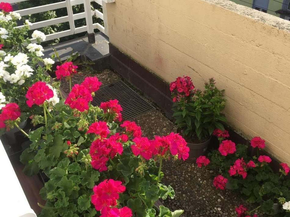 PHOTO20230810173815