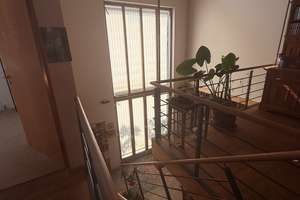 Architekten KFW55 Holzhaus/Nebengebäude mit Traumgarten in ruhiger Toplage – Die vollständige Adresse der Immobilie erhältst du vom Anbieter., 85053 Südost, Ingolstadt – Vorschaubild 16