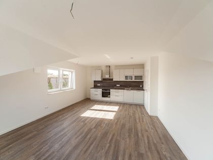 Kleines Haus Paderborn Trovit