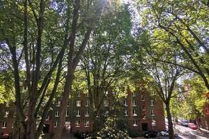 ***FREI & RENOVIERT! Charmante, helle 2-Zimmerwohnung mit Düsselblick in gefragter Lage von Bilk*** – 40223 Bilk, Düsseldorf – Vorschaubild 17