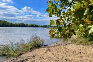 Property thumbnail 34