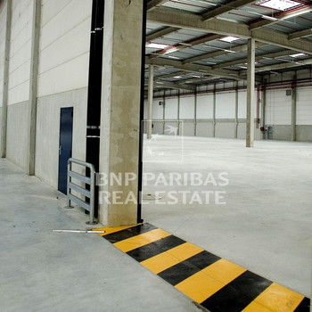 PROVISIONSFREI: Lagerfläche in guter Lage in MA-Waldhof