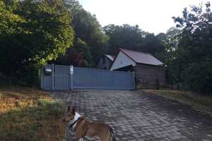 Imposantes Einfamilienhaus in absoluter Alleinlage mit Blick über Nürnberg und Erlangen – Forchheim (Kreis) – Vorschaubild 16