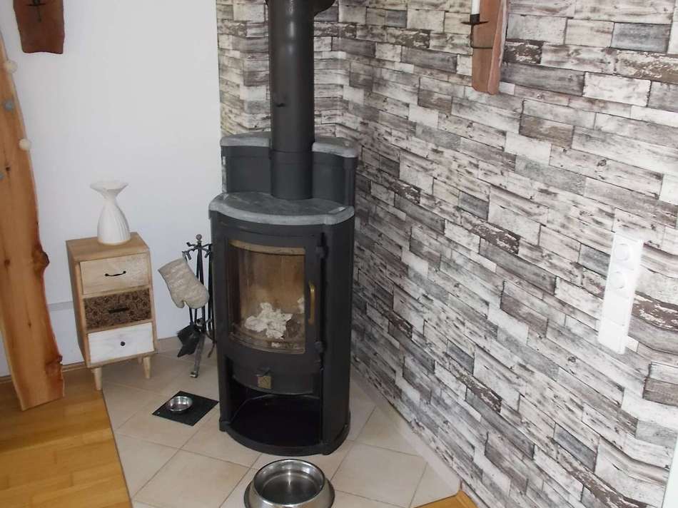 DAN-SKAN-Holzofen