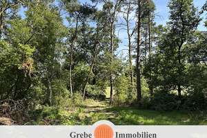 Idyllisches Ferienhaus mit großem Garten in Feldrandlage – Märkische Straße 49, 15806 Zossen – Vorschaubild 3