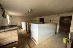 Gepflegtes Einfamilienhaus mit Nebengebäude und Entwicklungspotenzial – Die vollständige Adresse der Immobilie erhältst du vom Anbieter., 91802 Meinheim – Vorschaubild 8