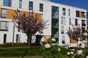 3 Zimmer EG mit Einbauküche, Sonnenterrasse + Zugang zum Gartenbereich. – An der Lingenmühle 5, 41061 Gladbach, Mönchengladbach – Vorschaubild 28
