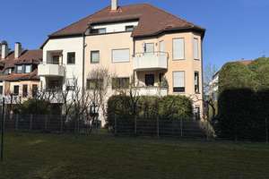 +++ Der Sonne entgegen +++