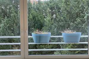  Wohnung mit drei Zimmern sowie 2 Balkone und Einbauküche in Bremen