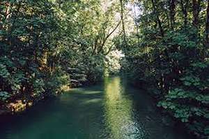 Property thumbnail 31