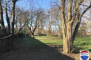 Mit der Natur verbunden
 - Wohnen und mehr - – Kleve (Kreis) – Vorschaubild 22