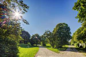 Property thumbnail 33