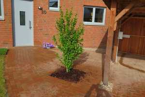 Familiengeeignetes Einfamilienhaus mit Garten in Rettmer (Lüneburg) – Lüneburg (Kreis) – Vorschaubild 13