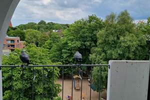 Helle, gemütliche DG-Whg., 2 Zi. , 56 qm, Einbauküche, 2 Balkone – Feldstrasse 18, 24105 Brunswik, Kiel – Vorschaubild 13