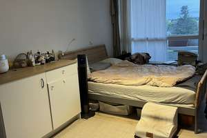 Stilvolle, modernisierte 1-Zimmer-Wohnung mit Balkon und Einbauküche in München – Die vollständige Adresse der Immobilie erhältst du vom Anbieter., 81476 Forstenried, München – Vorschaubild 2